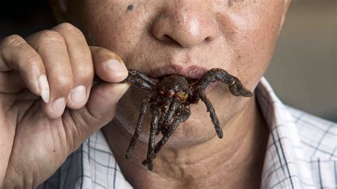 Inside The Cambodian Town That Eats Spiders Youtube