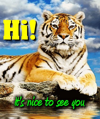 Its Nice To See You Free Hi Ecards Greeting Cards 123 Greetings