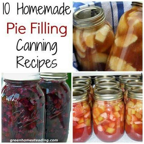 Pie Filling Canning Fruit Canning Tips Home Canning Canning Recipes