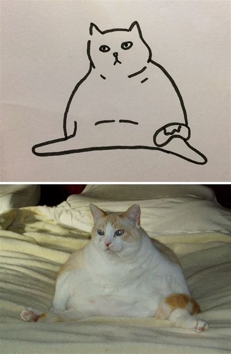 This Artist Was Told To Give Up Drawing Cats But That Didnt Stop Them