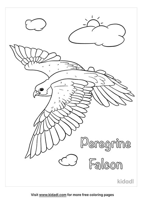 Peregrine Falcon Coloring Page Free Birds Coloring Page Coloring Home