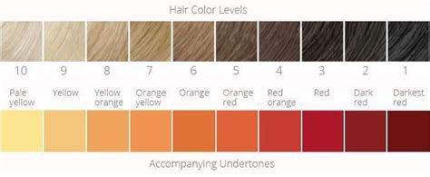 hair color lift chart
