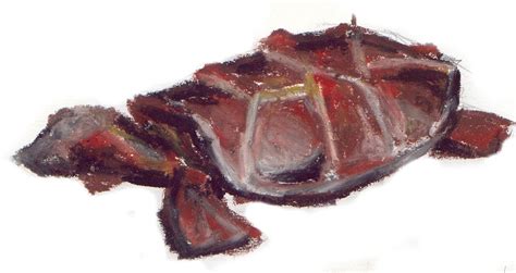 A Drawing Of A Fish That Is Red And Brown With Some Yellow On Its Side