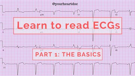 How To Read An ECG EKG Part 1 The Basics Of Understanding An