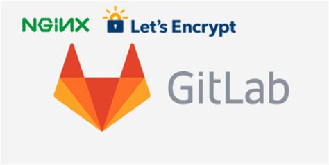 Setting Up Gitlab With Let S Encrypt Behind Nginx Reverse Proxy Hot Sex Picture