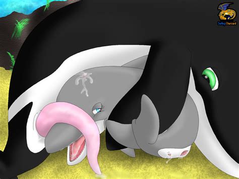 Rule 34 43 After Sex Anus Blowhole Blue Eyes Bodily Fluids Cetacean