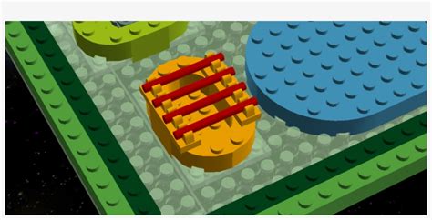 The brief was to design a new animal for the lego friends range. Animal Cell Model Diagram Project Parts Structure Labeled ...