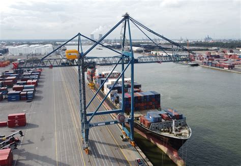 Sea Invest Orders 2 Liebherr Sts Cranes For Antwerp Container Terminal