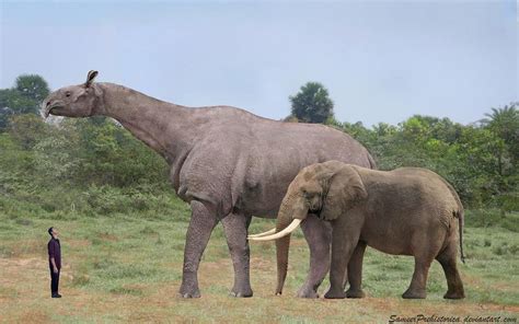 The 20 Biggest Prehistoric Mammals