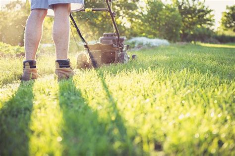 Lawn Care Basics For Beginners My Decorative