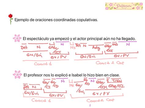 Las Oraciones Coordinadas Copulativas Language Spanish Spanish