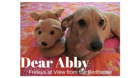 View From The Birdhouse Dear Abby Famous Tv Dogs Dog The Basset