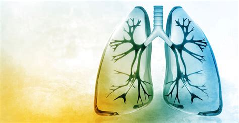 How To Keep Your Lungs Strong For Covid 19 Hsi