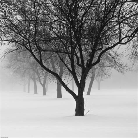 Pin By Katherine Baron On Winter Wonderland Black And White Famous