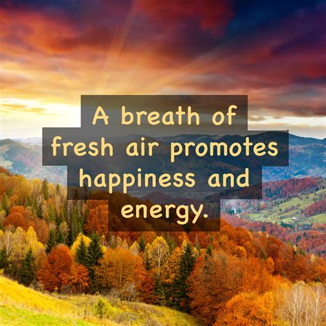 Getting A Few Breaths Of Fresh Air Can Work Wonders Fresh Oxygen Has