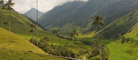 Colombia's Coffee Region travel guide