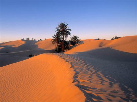 Sahara Desert Wallpaper Wallpapersafari