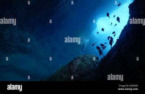 Cave Diving Underwater Exploring Caves With Fish Scenery Sun Beams And