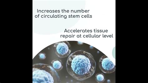 Nustem Advanced Stem Cell Support Healthy Aging With Stem Cell