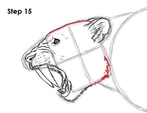 How To Draw A Smilodon Saber Tooth Tiger