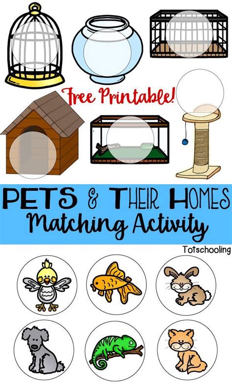 Pets And Their Homes Matching Activity Pets Preschool Theme Pets
