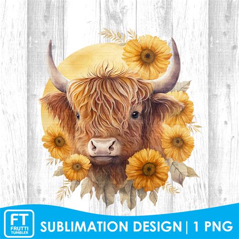 Highland Cow Sublimation Design Watercolor Sunflowers Png Inspire