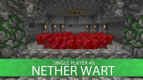 Minecraft Lp 40 Nether Wart Youtube