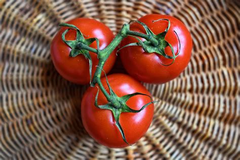 Tomatoes are a great source of vitamins. 4 Benefits Of Tomatoes | The Guardian Nigeria News ...