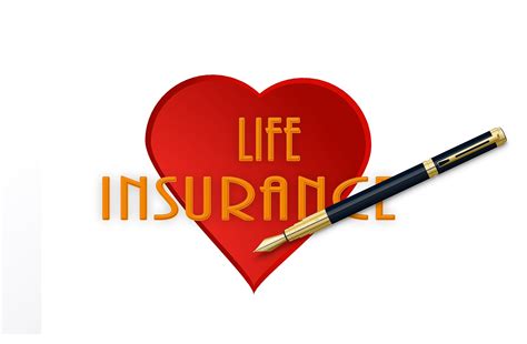 The Basics Of Life Insurance The Life Insurance Policy From A To Z