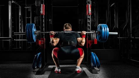 front squat vs back squat which is better for beginners
