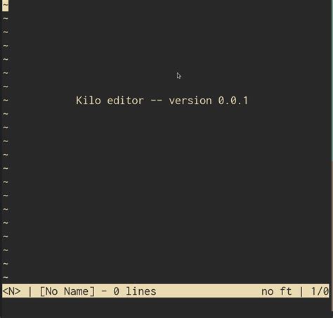 Build Your Own Text Editor
