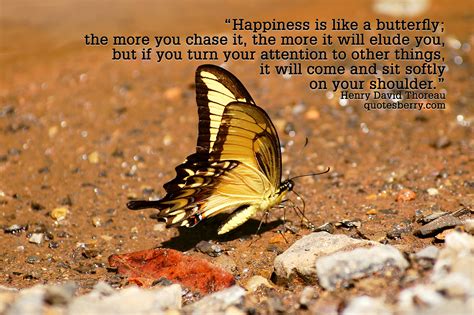 Happiness Is Like A Butterfly The More You Chase Quotesberry
