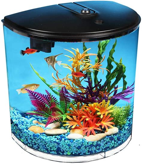 Amazon Com Koller Products AquaView 3 5 Gallon Fish Tank With Power