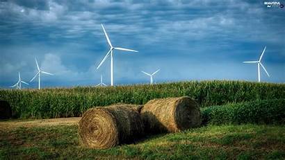Bele Windmills Hay Field Views Author