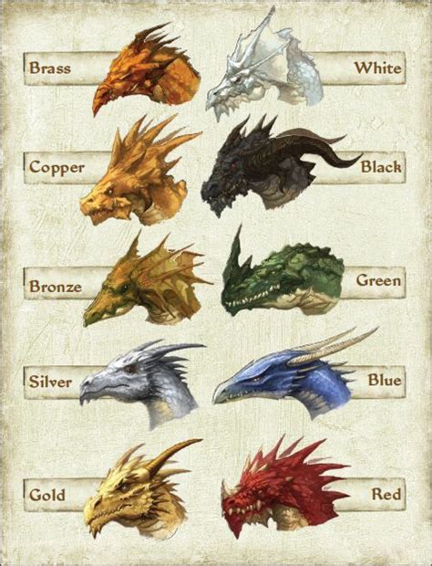 Good And Evil Dragons Fantasy Dragon Dragon Art Dragon