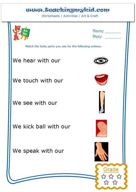 Body parts english worksheet for kids esl printable picture dictionary. kindergarten learning - Match the body parts - Worksheet - 1