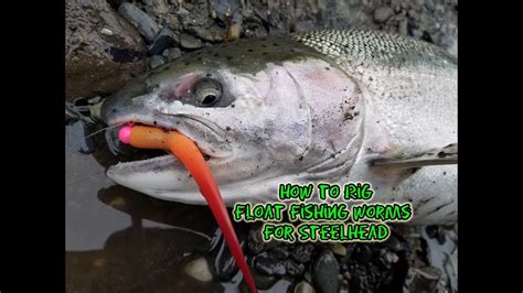 How To Float Fishing Worms For Steelhead Youtube