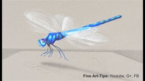 Https://tommynaija.com/draw/how To Draw A 3d Dragonfly