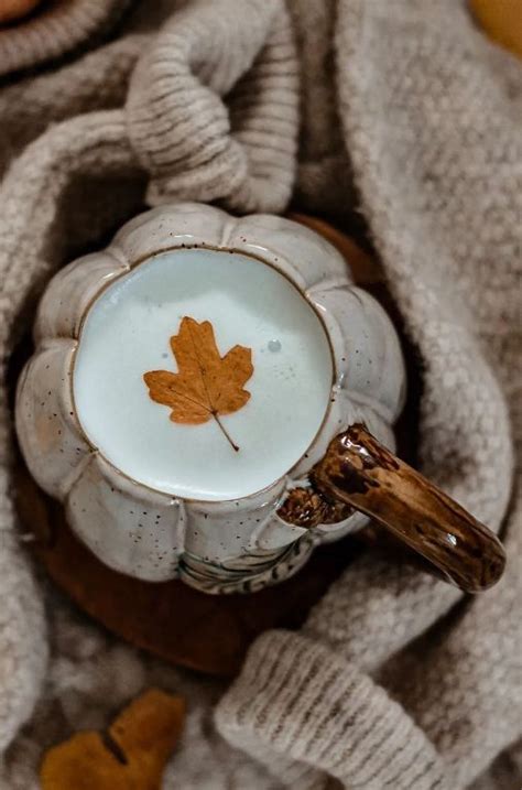 Pin By Fefi Emmanouil On Autumn Fall Latte Autumn Cozy Autumn
