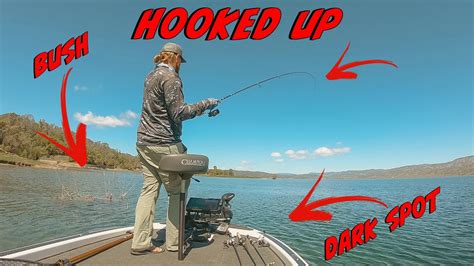 Sight Fishing Mistakes Youve Been Making How To Catch More Bass