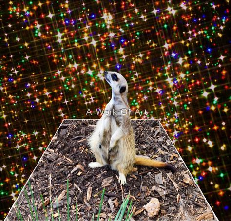 Meerkat Dancing In The Stars Dimensional Popout Art By A Work Of