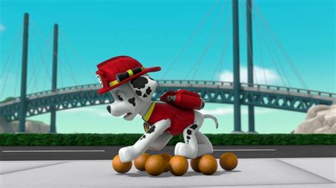 Paw Patrol S07e22a Die Moto Pups Retten Die Donuts Moto Pups Pups