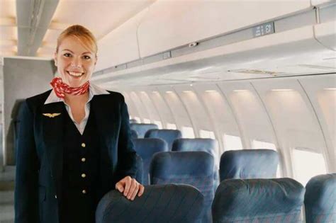 Sample Flight Attendant Cover Letter Writing Guide And Tips