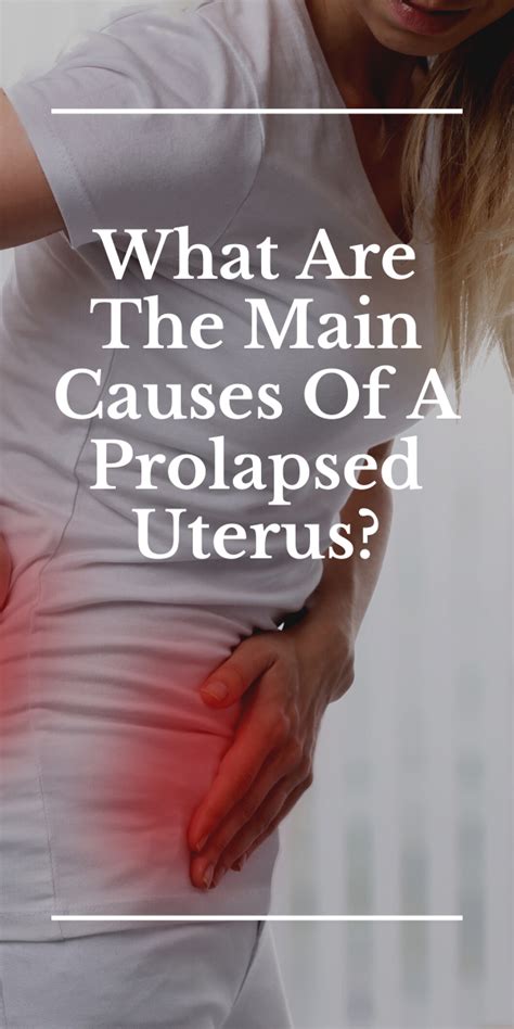 What Are The Main Causes Of A Prolapsed Uterus Prolapsed Uterus