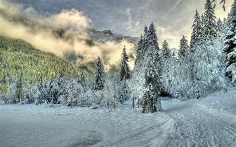 Winter Nature Snow Beautiful Lovely Landscape