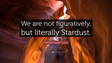 Neil Degrasse Tyson Quote We Are Not Figuratively But Literally