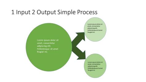 1 Input 2 Output Simple Process Template