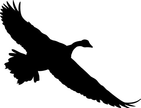 The Best Free Goose Silhouette Images Download From 238 Free