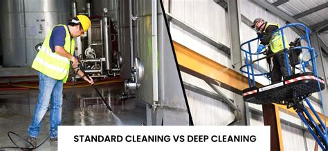 Standard Cleaning Vs Deep Cleaning The Key Differences Global Vapor