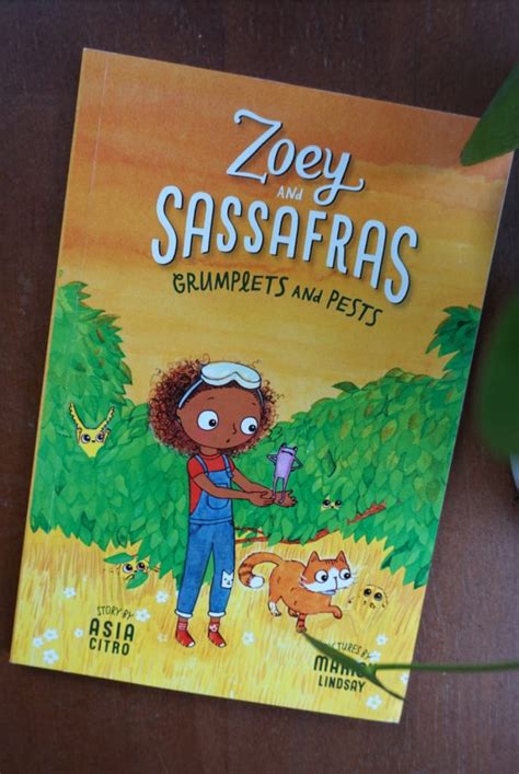 Why We Love The Zoey And Sassafras Early Chapter Books - What MJ Loves™